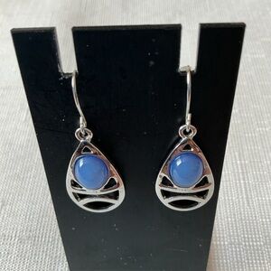 Blue Acrylic Silver Tone Drop Earrings
